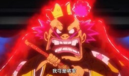 最新海贼爆料视频大全集,最新爆料视频大全集深度解析，揭秘剧情走向与角色命运